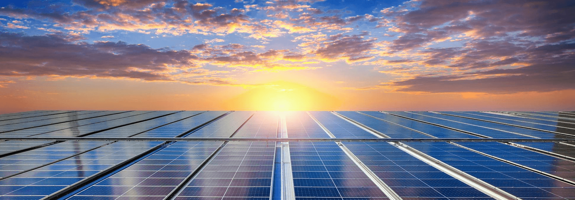 Solar panels at sunset